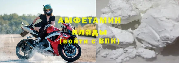 индика Майский