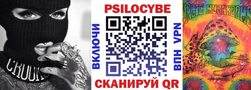 Псилоцибиновые грибы Psilocybine cubensis  Ачхой-Мартан 